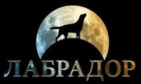 Агентство "Лабрадор"